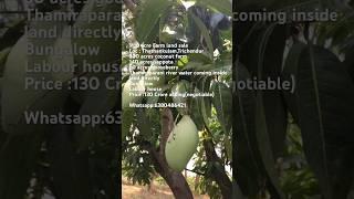 1110 acres farm land sale,Thathankulam,Tiruchendur, 6380486421