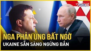 Phản ứng bất ngờ của Nga về việc Ukraine sẵn sàng ngừng bắn | Báo VietNamNet