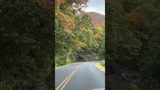 Blueridge Parkway north of Asheville, NC #shorts