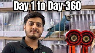 Champion Blue Gouldian Day 1 to 1st Position Jounery in 3 mins Video ️ BY : HUZAIFA ADVANI 