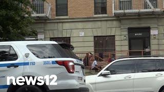 NYPD: 20-year-old man killed in Crown Heights shooting  | News 12