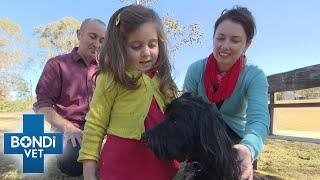 Little Girl's Dream Dog Adopted By Family | Bondi Vet