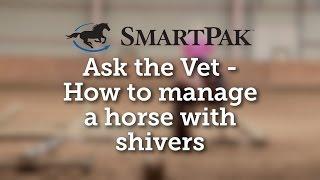 Ask the Vet - How to manage shivers in horses