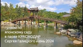 парки Краснодара - японский сад в июне 2024