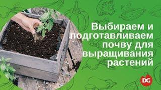 №37 Почвенное выращивание: как выбрать и подготовить почву для домашнего растениеводства?