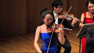 W  A  Mozart Violin Concerto No 5 A Major K 219