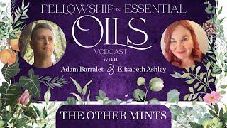 The Other Mint Oils - Japanese Peppermint, Corn Mint, Bergamot Mint, Horse Mint and Pennyroyal