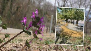 Campgrounds along Tennessee Valley reservoirs to reopen around 6 months after Hurricane Helene