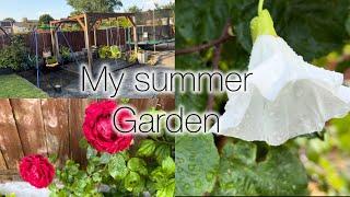 Summer Garden Tour || Visit Our Garden || Flowers #2024