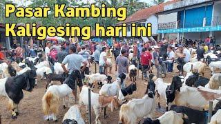 Pasar Kambing Kaligesing hari ini 08 Maret 2025