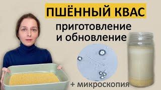 Возобновляемый пшенный квас. Без хлопот.