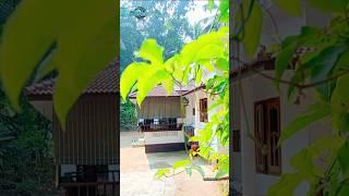 Home️#shorts #home #shortvideo #keralagram #subinbalek #efficientway #motherlove #mother #happiness