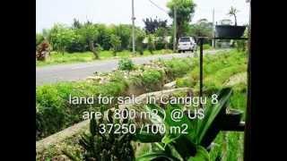 Roadside land for sale in Canggu