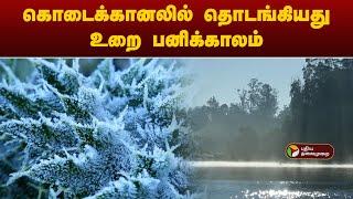 கொடைக்கானலில் தொடங்கியது உறை பனிக்காலம் | Kodaikanal