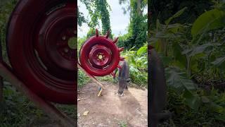 Amazing Quick Powerful Wild Pig Trap Make By Tires with sharp wood #shortvideo #wildboar