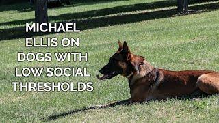 Michael Ellis on Dogs With Low Social Thresholds