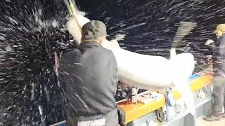 MASSIVE Shark leaps onto fisherman's boat in South Korea