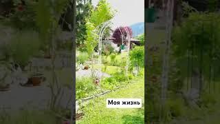 My life in Austria. Tirol. Mein Leben in Österreich/Мой дом и сад /Австрия, Тироль, Имст #shorts
