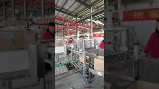 Automatic Case Packer for Water Bags