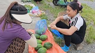 Husband brought gifts to visit. Picking papaya to sell