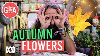 Autumn Flowers to Plant NOW! | Gardening 101 | Gardening Australia Jr #gardeningaustraliajr