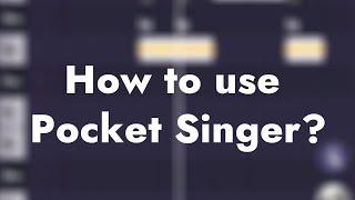 How to use Pocket Singer?