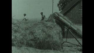 Der Futterbau (Schweiz, ca. 1940)