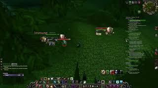 "he isn't a bot..." - World PvP Affliction SL Warlock vs Retribution Paladin | WoW TBC, WotLK, Wrath