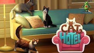 Cat Hotel - Care for cute cats (iOS/Android) Gameplay HD