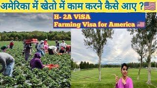 Agriculture jobs in America || Farming visa for America || H-2A visa work permit USA