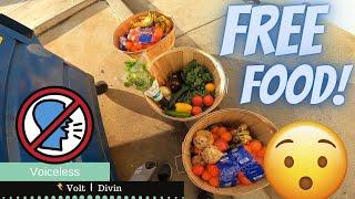 ASMR Voiceless Dumpster Diving Free Food No Talking  S1E44V91