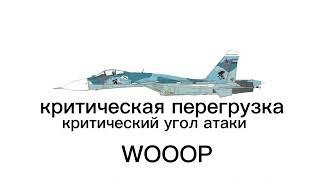 SU-33 COBRA MANEUVER ASMR [TRY THIS AT HOME]