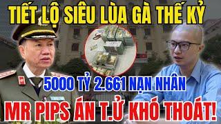 Vạch Trần Thủ Đoạn MR PIPS LÙA GÀ Lừ.a Đảo hơn 5000 Tỷ đồng Khiến Cả Nước Chấn Động!