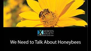 We Need to Talk About Honeybees