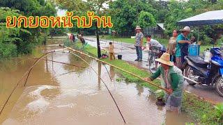 ยกยอกลางหมู่บ้านหลังพายุฝนโคอินุตกกระหน่ำ#fishing#ยกสะดุ้ง#หาปลา