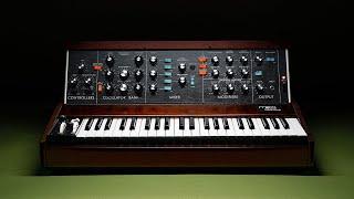 Minimoog Model D | Live Build | From the Moog Factory