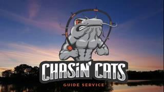 Chasin' Cats Guide Service