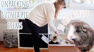 Guinea Pigs Explore New House | Unpacking Guinea Pig Items