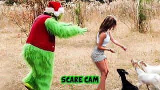 BEST CHRISTMAS SCARE CAM Priceless Reactions 2024#137 | Funny Videos TikTok | CoCo Scare Cam |