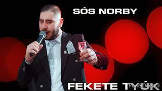 Sós Norby-Fekete Tyúk 2025