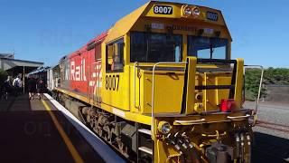 Ride New Zealand's Earthquake Railway aboard the Coastal Pacific (train) along the Kaikoura Coast