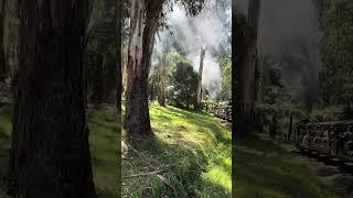 Melbourne Puffing Billy Railway (5) 4K HDR