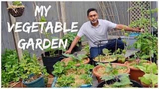 May Garden Tour | Inspiring Vegetable Garden Ideas