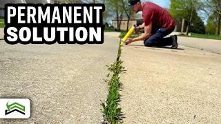 Weed-Free Driveways and Sidewalks: The Ultimate Solution!