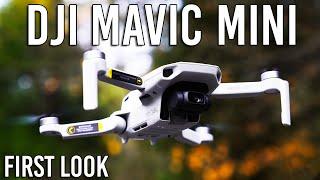 DJI Mavic Mini Drone - Specs & Footage | First Look