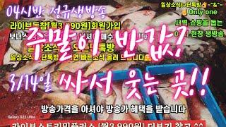 활어횟감 숭어 병어 갈치 홍어 해삼 전복 3/14일  04시반 정규라이브(월~토)️Only one 새롭고 싸고 다양한 노량진수산시장 새벽 쇼핑을 돕는 정규생방송(Live)운영~