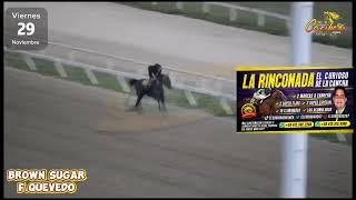 #INH AJUSTES DOMINGO 08DIC24 #LARINCONADA #HIPISMO #HIPICA TV