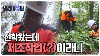 대한민국 면적의 70% 산림을 책임진다! 전국 유일 산림특성화고 ‘한국산림과학고등학교’ [스카우트 4.0 얼리어잡터] | KBS 230730 방송