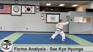Legacy Martial Arts Forms Analysis