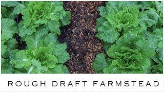 Six Ways To Start a No-Till Market Garden